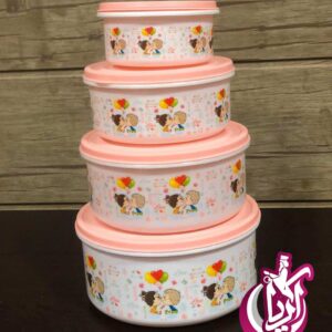 فروش عمده ظروف فریزری رزمن