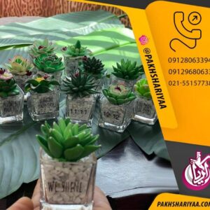 پخش کاکتوس مصنوعی گل نفیس