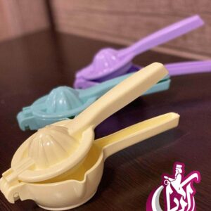 فروش عمده آبمیوه گیری پانیز