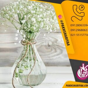 پخش انواع گلدان شیشه‌ ای الشن